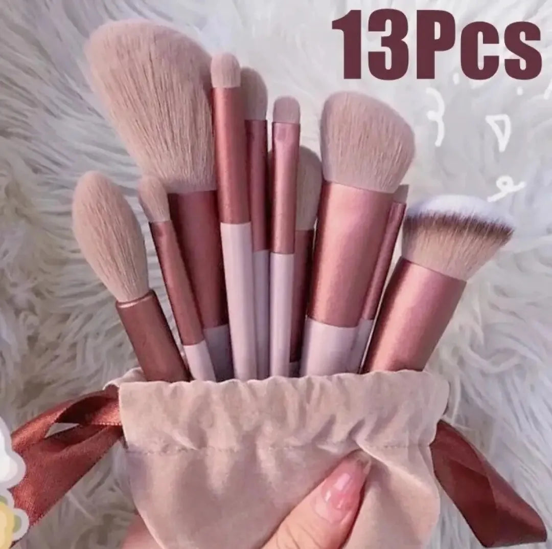 Makeup brushes kit ( 13 piece's )