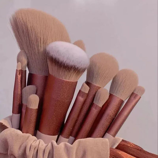 Makeup brushes kit ( 13 piece's )